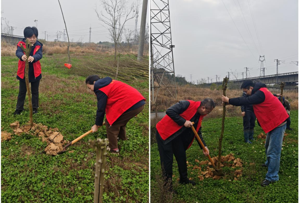 常德市住房公积金管理中心武陵管理部开展义务植树活动