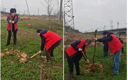 常德市住房公积金管理中心武陵管理部开展义务植树活动