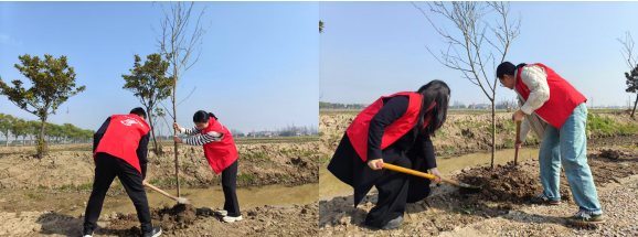 植此青绿 共护生态——鼎城管理部开展义务植树活动